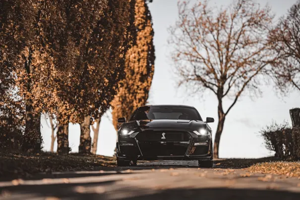 Fbet Casino Aip Android/iOS